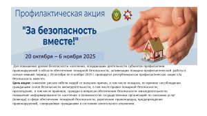 Профилактическая акция «За безопасность вместе!»