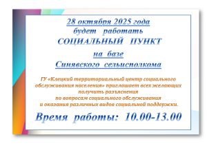 28 октября 2025 года будет работать социальный пункт