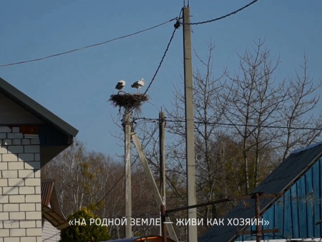 На родной земле – Живи Как Хозяин