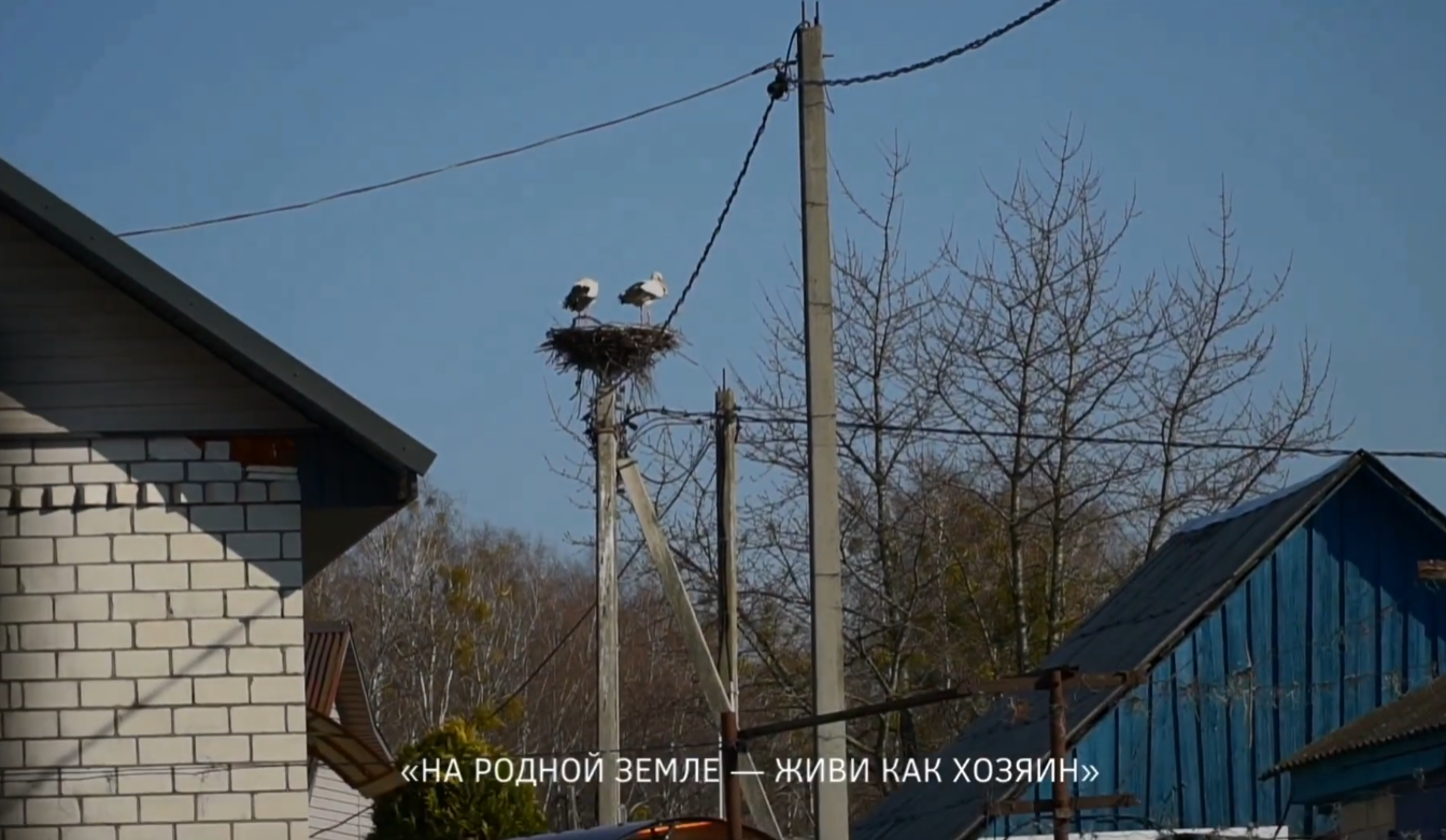 На родной земле – Живи Как Хозяин